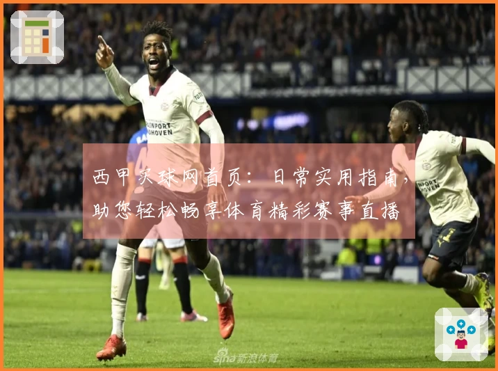 西甲买球网首页：日常实用指南，助您轻松畅享体育精彩赛事直播