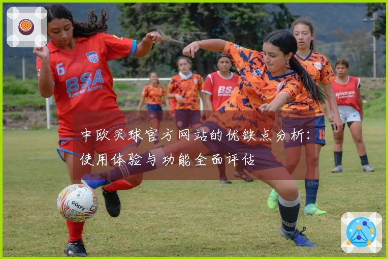 中欧买球官方网站的优缺点分析：使用体验与功能全面评估