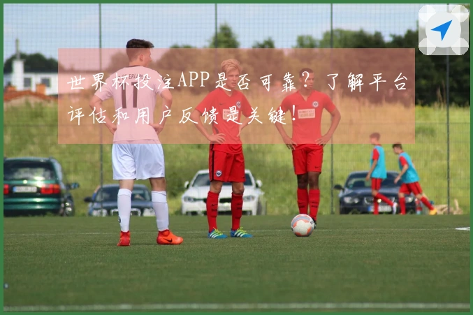 世界杯投注APP是否可靠？了解平台评估和用户反馈是关键！