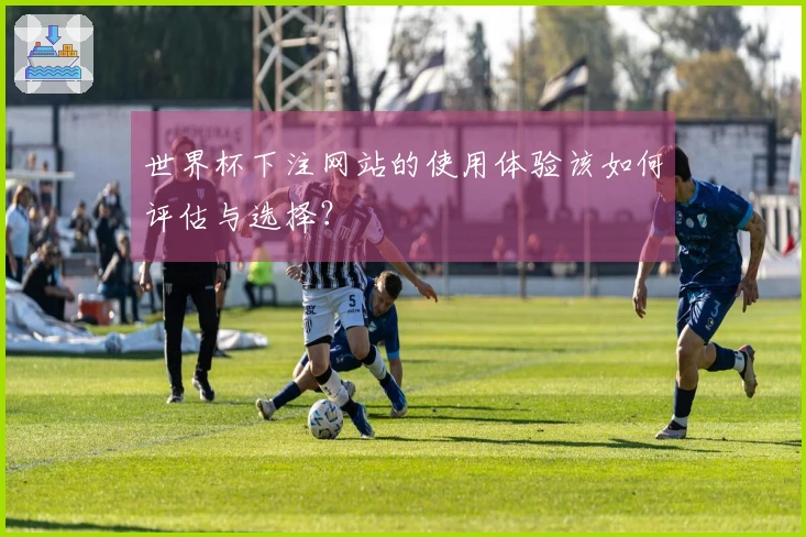 世界杯下注网站的使用体验该如何评估与选择？