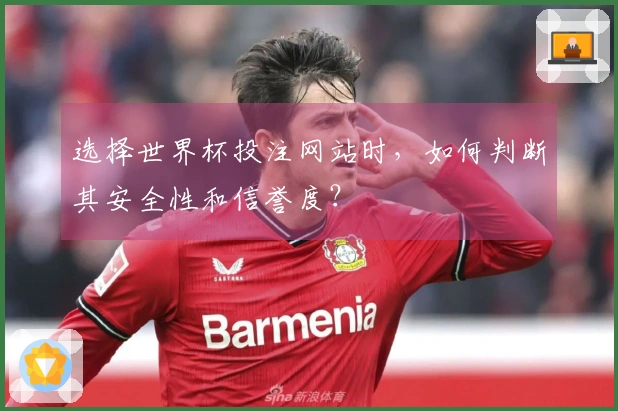 选择世界杯投注网站时，如何判断其安全性和信誉度？