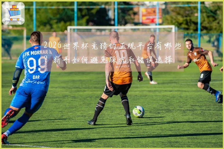 2026世界杯竞猜的正规平台有哪些？新手如何避免踩坑和错误选择