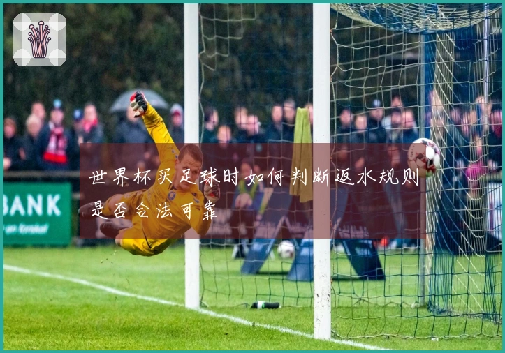 世界杯买足球时如何判断返水规则是否合法可靠