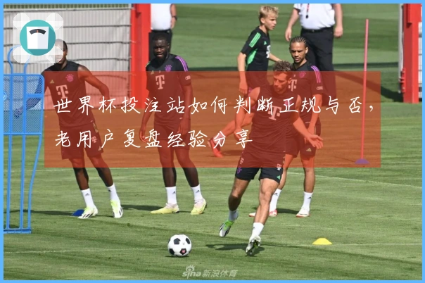 世界杯投注站如何判断正规与否，老用户复盘经验分享