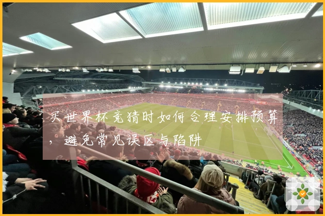 买世界杯竞猜时如何合理安排预算，避免常见误区与陷阱