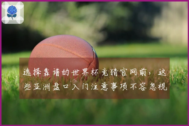 选择靠谱的世界杯竞猜官网前，这些亚洲盘口入门注意事项不容忽视