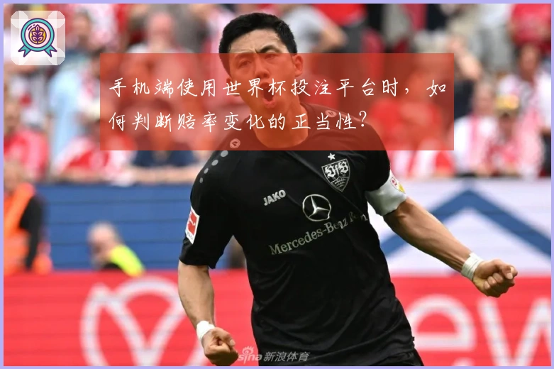 手机端使用世界杯投注平台时，如何判断赔率变化的正当性？