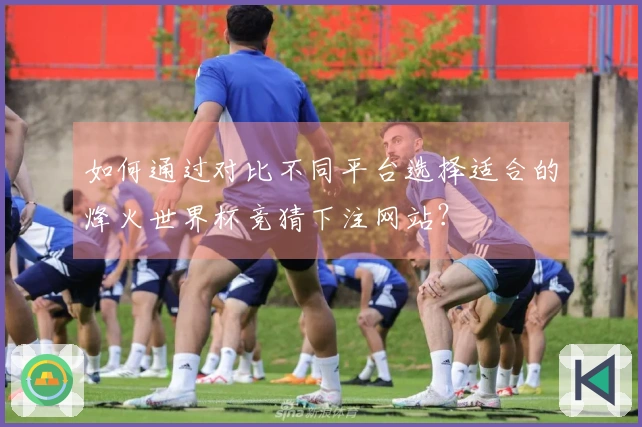 如何通过对比不同平台选择适合的烽火世界杯竞猜下注网站？