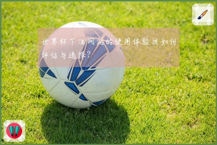 世界杯下注网站的使用体验该如何评估与选择？