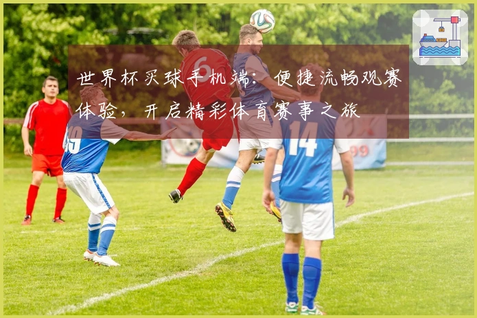 世界杯买球手机端:便捷流畅观赛体验,开启精彩体育赛事之旅