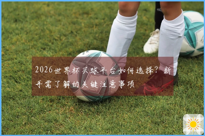 2026世界杯买球平台如何选择？新手需了解的关键注意事项