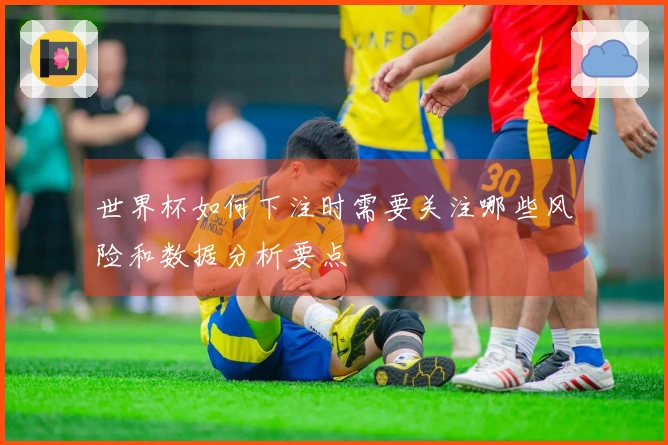 世界杯如何下注时需要关注哪些风险和数据分析要点