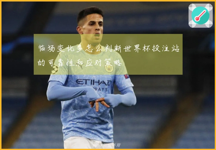 临场变化多怎么判断世界杯投注站的可靠性和应对策略